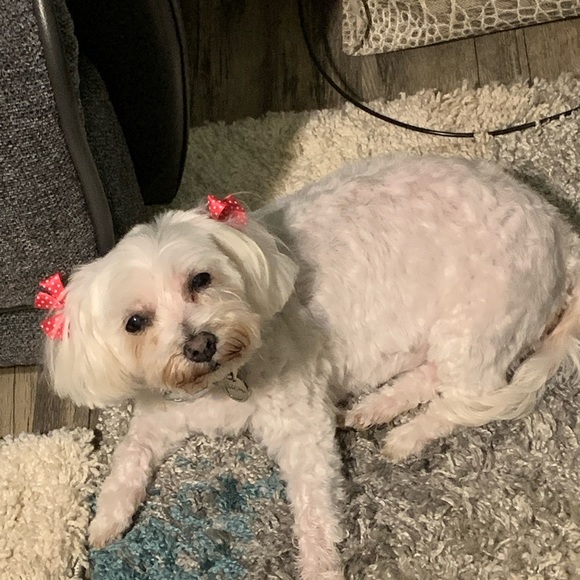 Meet your Posher, Deborah - Picture 9 of 16